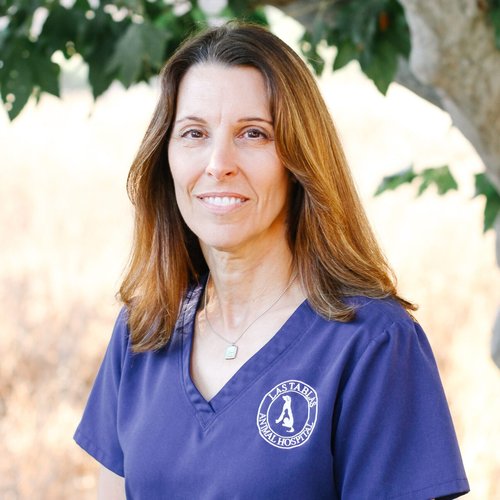 Dr. Lariann  Baretta, DVM